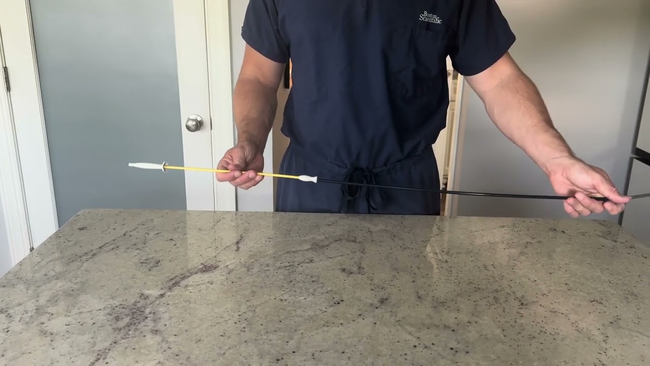 WallFlex Esophageal Stent