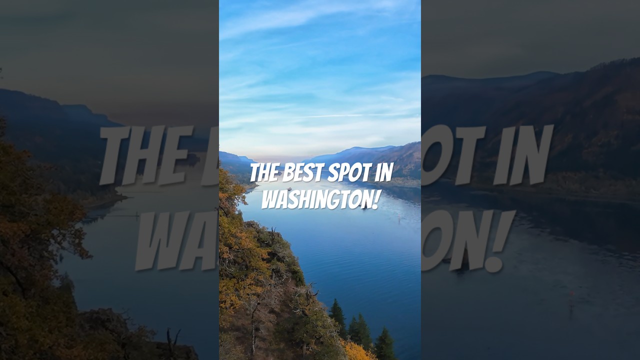 Best view in Washington 