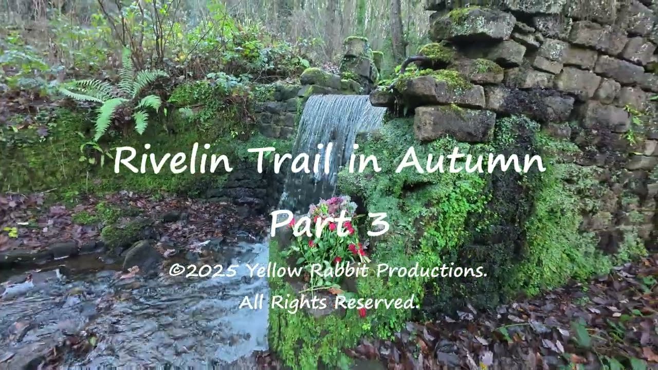 Autumn in Rivelin Valley Part 3
