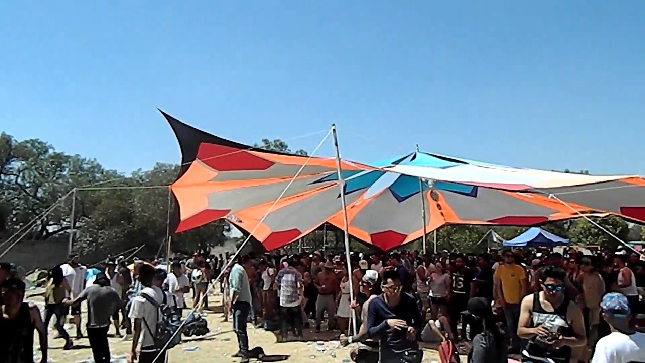 yolotl primaveral 2018