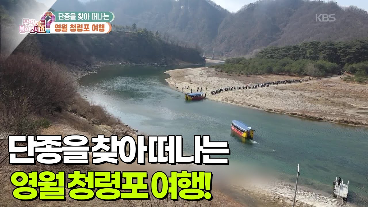[어디로 떠나볼까?] 단종을 찾아 떠나는 영월 청령포 여행! 어수리 솥밥까지! [무엇이든 물어보세요] | KBS 260312 방송