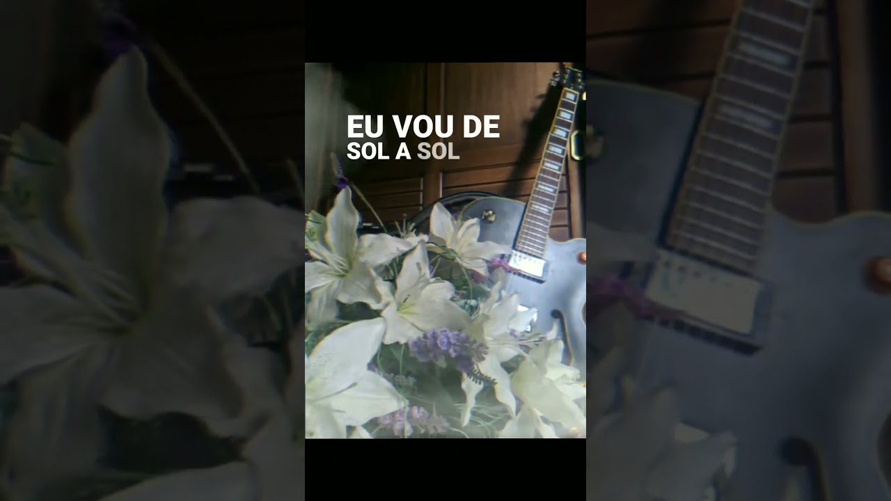Teletema - Kid Abelha