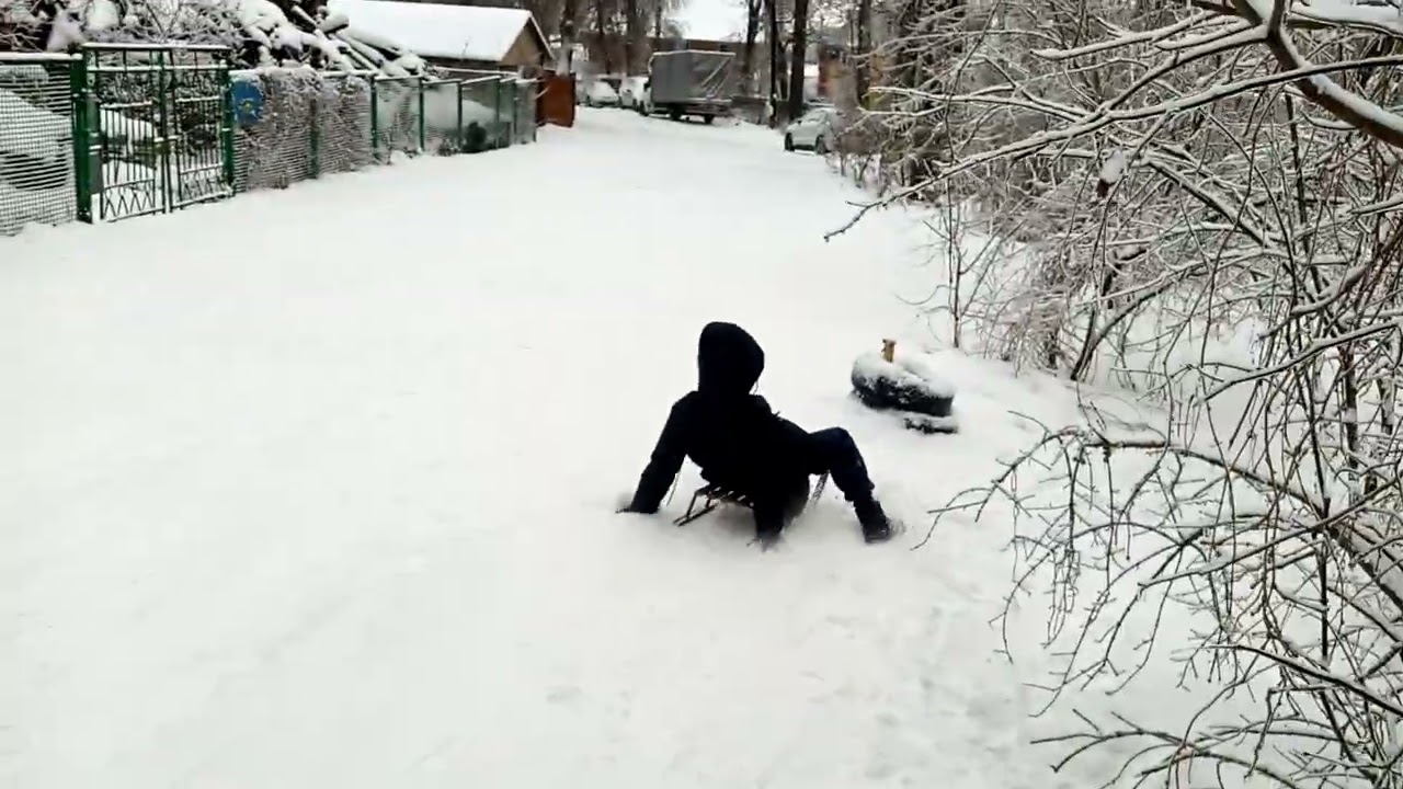 Зимний лес