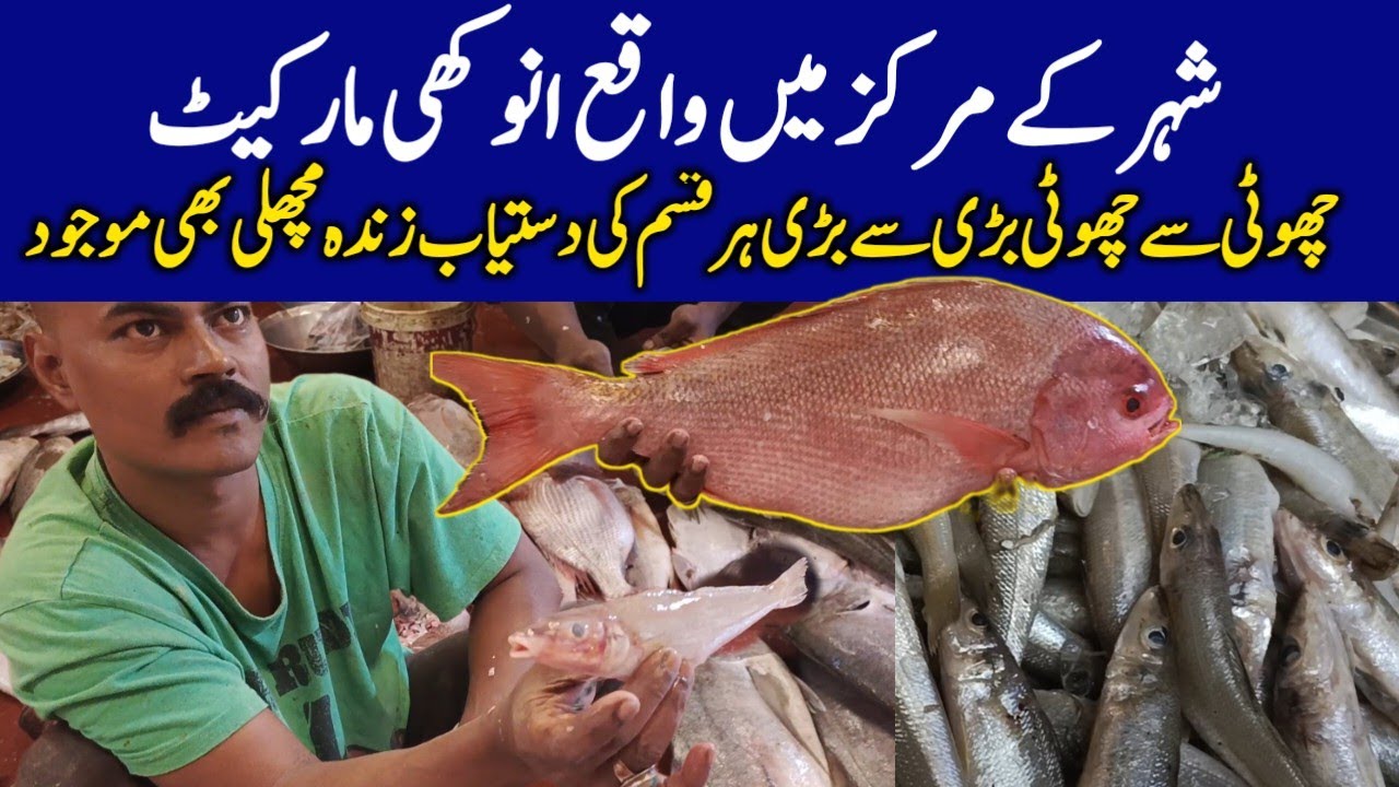 Fish market in Karachi cheapest wholesale fish market Musa Colony Biggest Prawn @focus with fahim