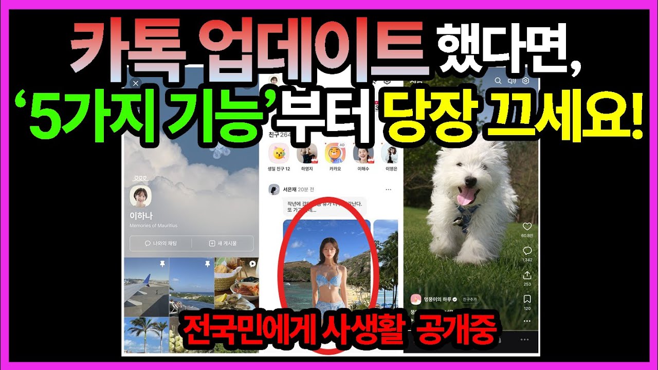 하면 후회하는 카카오톡 업데이트 대참사 ('이거'부터 바로 차단하세요!) 시니어꿀팁