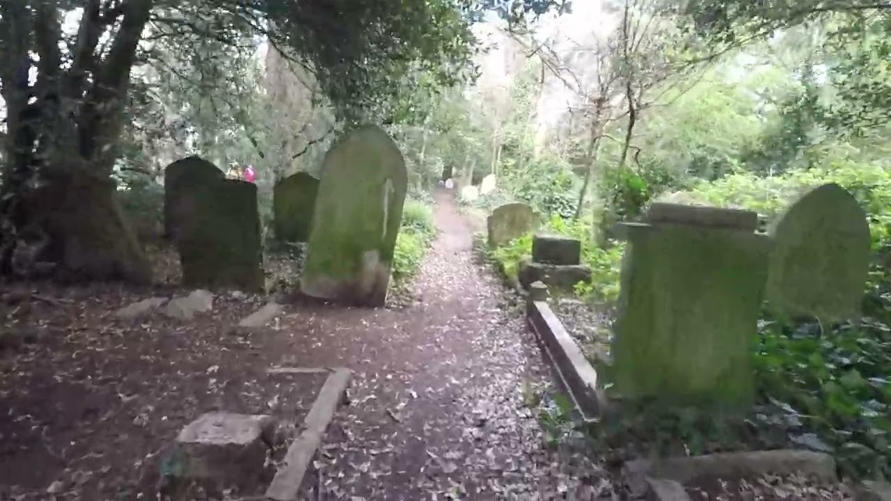 London Walk Through Barnes Common to Putney Pier via the River Thames