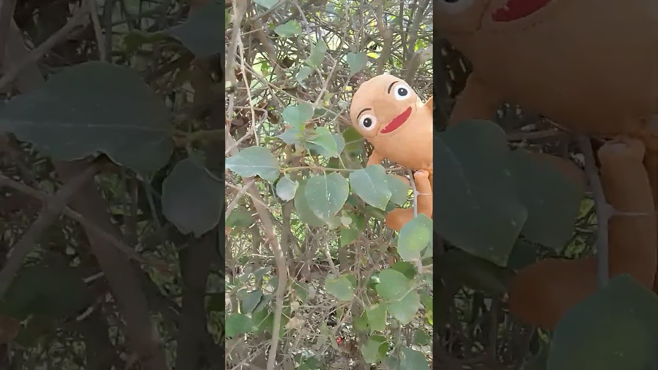 Liu 376 en el sementerio de Campo Fe xd