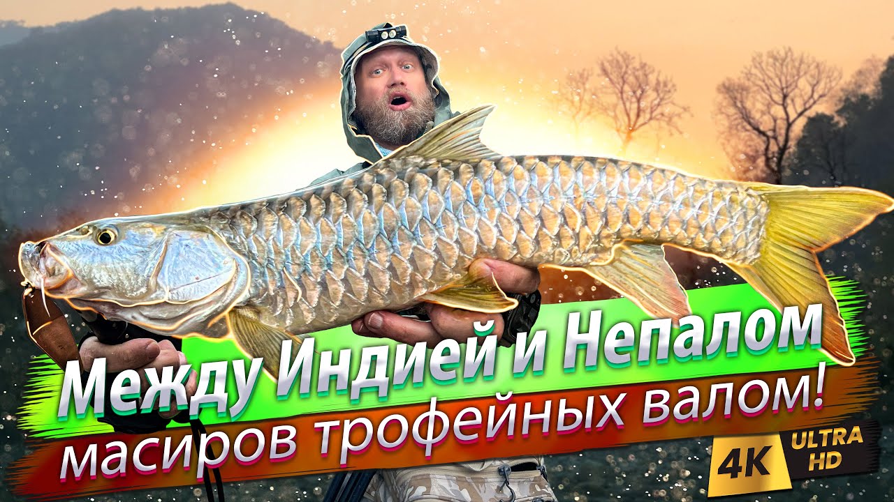 🇮🇳🇳🇵 В Гималаи за масиром! Золотой масир на реке Калисарда