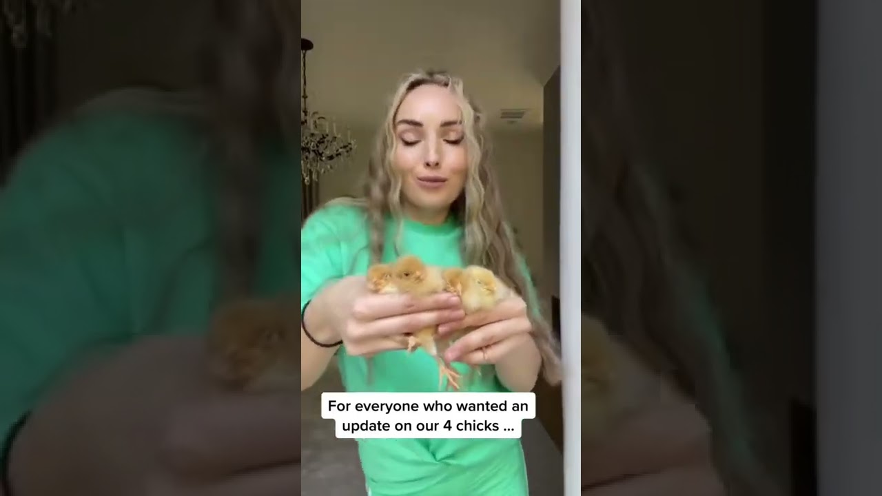 Chicks grew in 4 months..