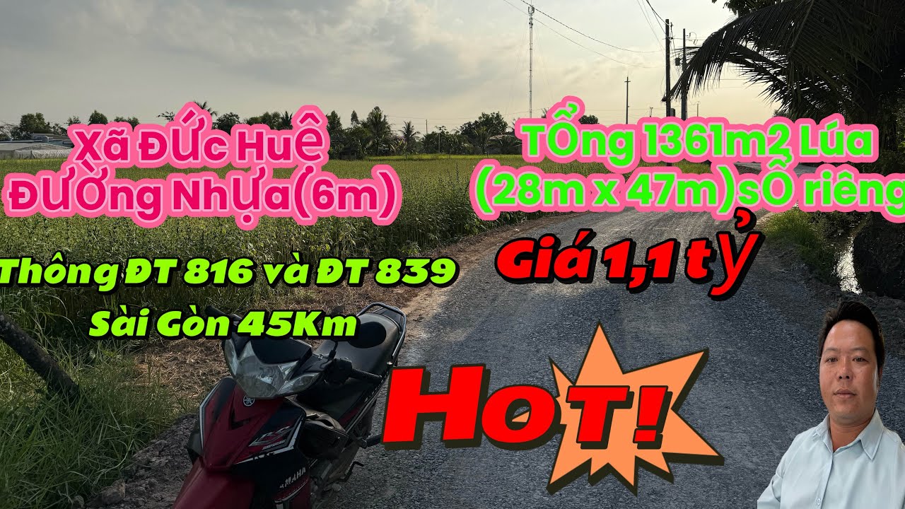 Tập 534:Nhà vườn Long An,Đường Tỉnh ĐT 816 và ĐT 839,Đường Nhựa(6m) Xã Đức Huệ,1361m2 Lúa-Giá 1,1 tỷ