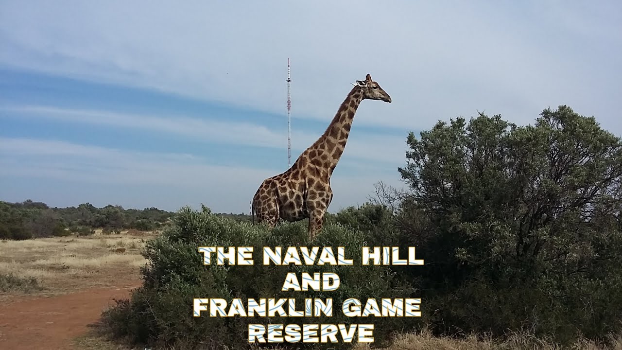 THE NAVAL HILL AND FRANKLIN GAME RESERVE