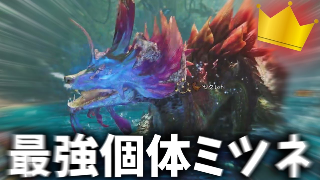 【初見】最大金冠の歴戦タマミツネ★8がガチで強すぎるｗｗｗ【モンハンワイルズ】