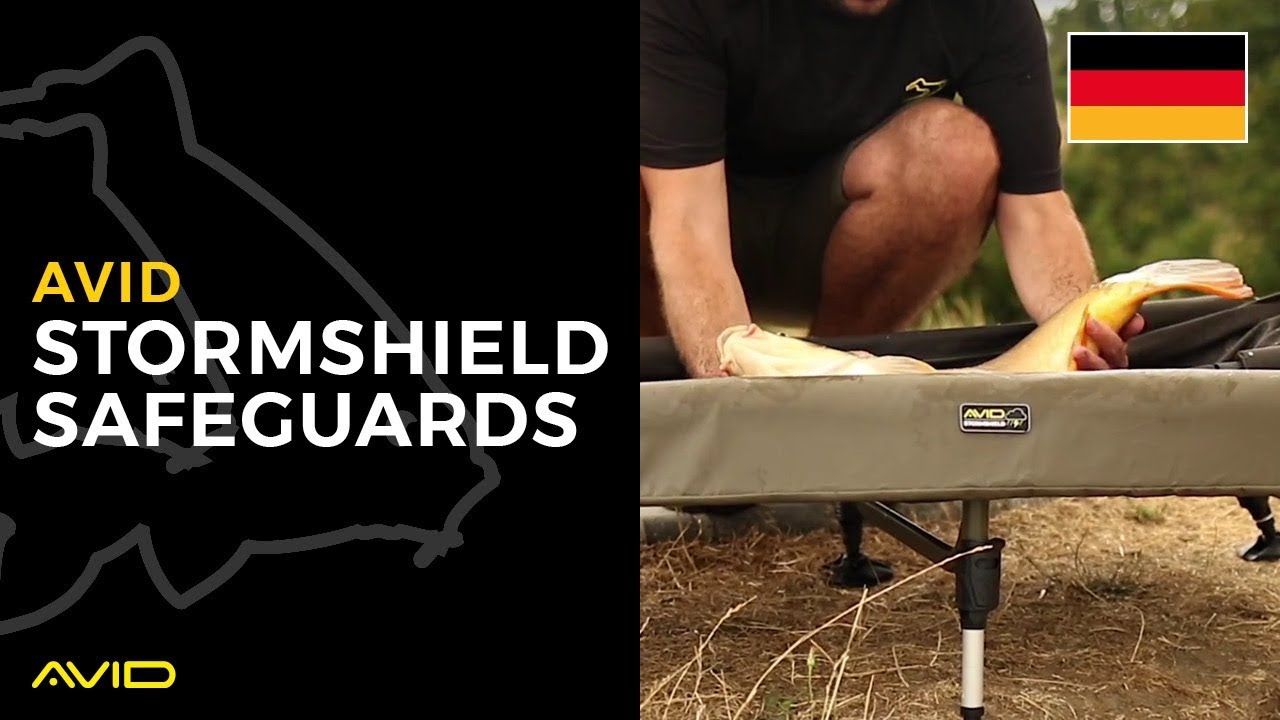 AVID CARP- Stormshield Safeguards- German