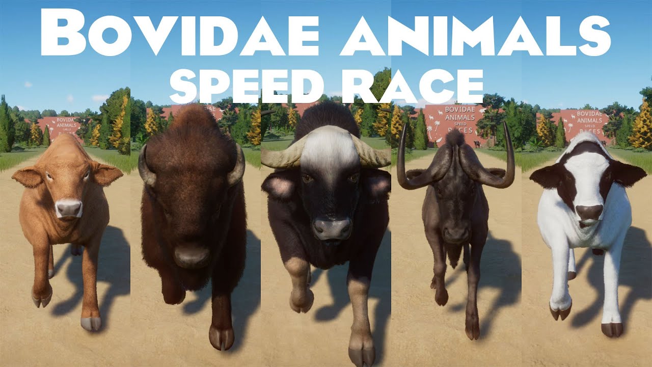 Bovids Animals Races in Planet Zoo included Holstein Cow, Bison, Wild Water Buffalo & etc
