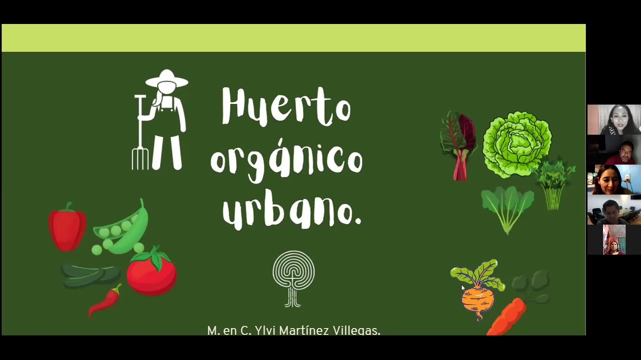 Taller de huerto orgánico urbano. Sesión 1 (introducción)