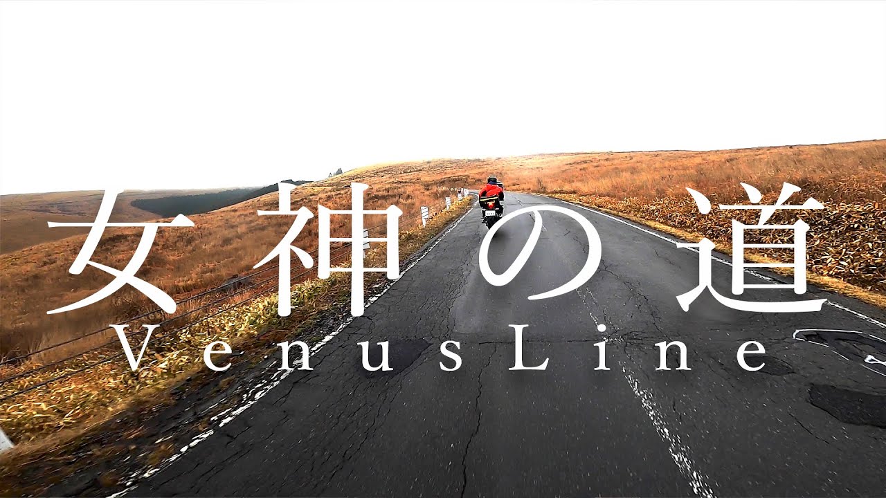 【ビーナスライン・前編】まるで異世界!?初めて行ってみた。 | CBR250RR(MC51) / CBR250R(MC41)