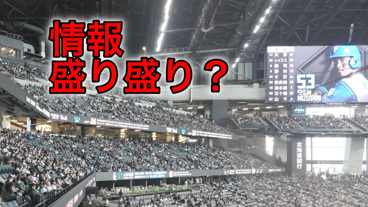 エスコンフィールド北海道・悪天候でも野球観戦・パイナッポーの歓喜の陰で