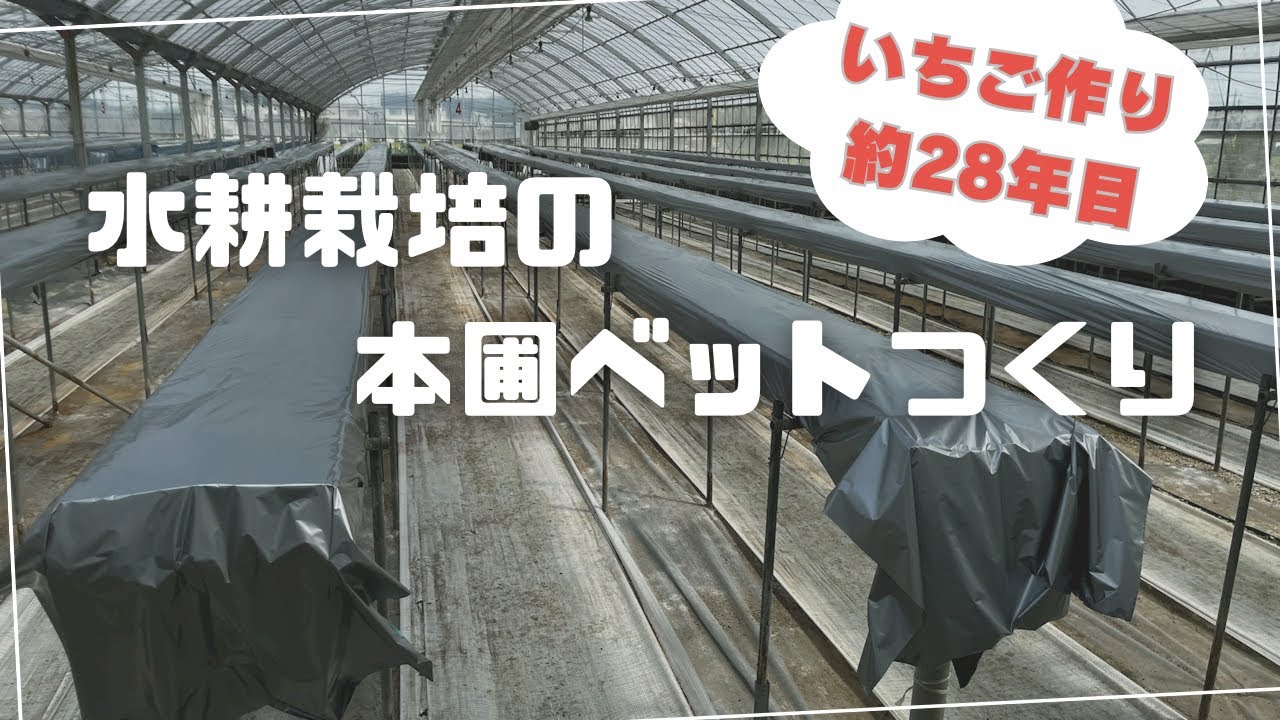 水耕栽培の本圃ベットつくり