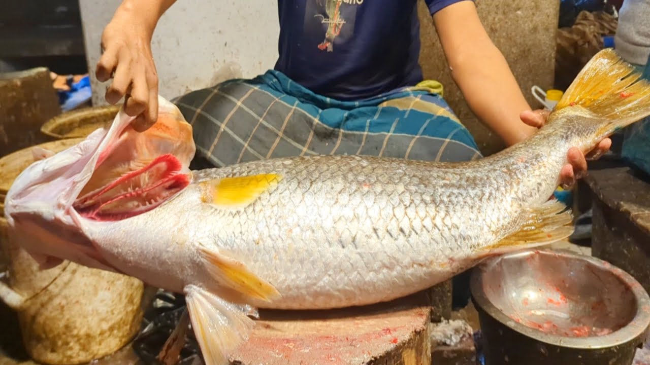 Super Fish Cutting Skills | Giant Delicious Bhetki Fish Cutting & Chopping In Fish Market