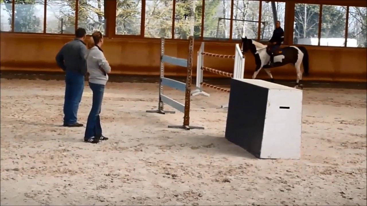 préparation des chevaux de Michel Robert - 2012