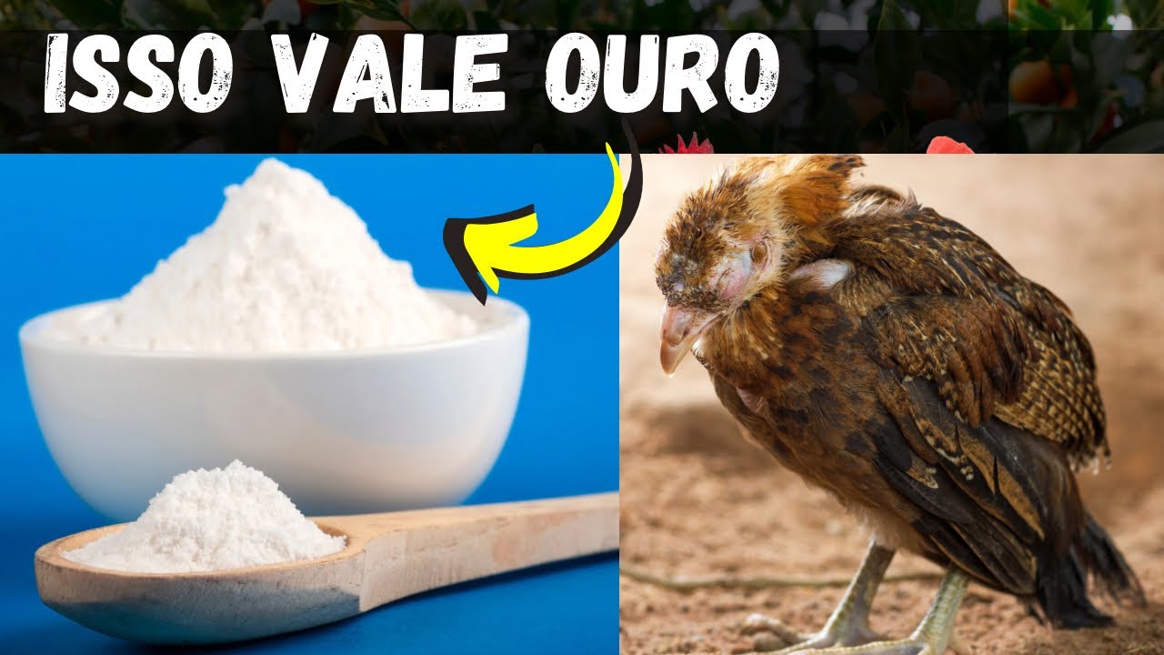 INCRÍVEL, ISSO VALE OURO PARA CURAR PERNA BAMBA E OUTRAS DOENÇAS!