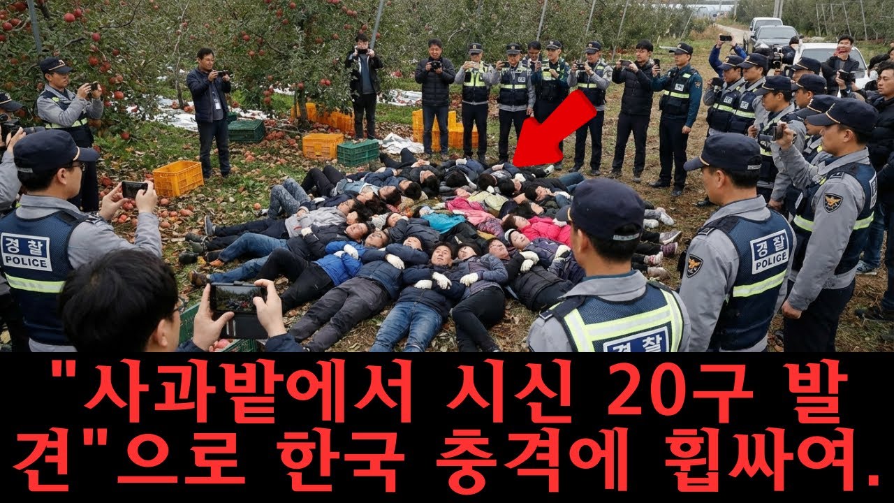 사과밭에서 20구 시신 발견, 평화로운 농장의 끔찍한 진실 | 범죄 | 실화 | 미스터리사건