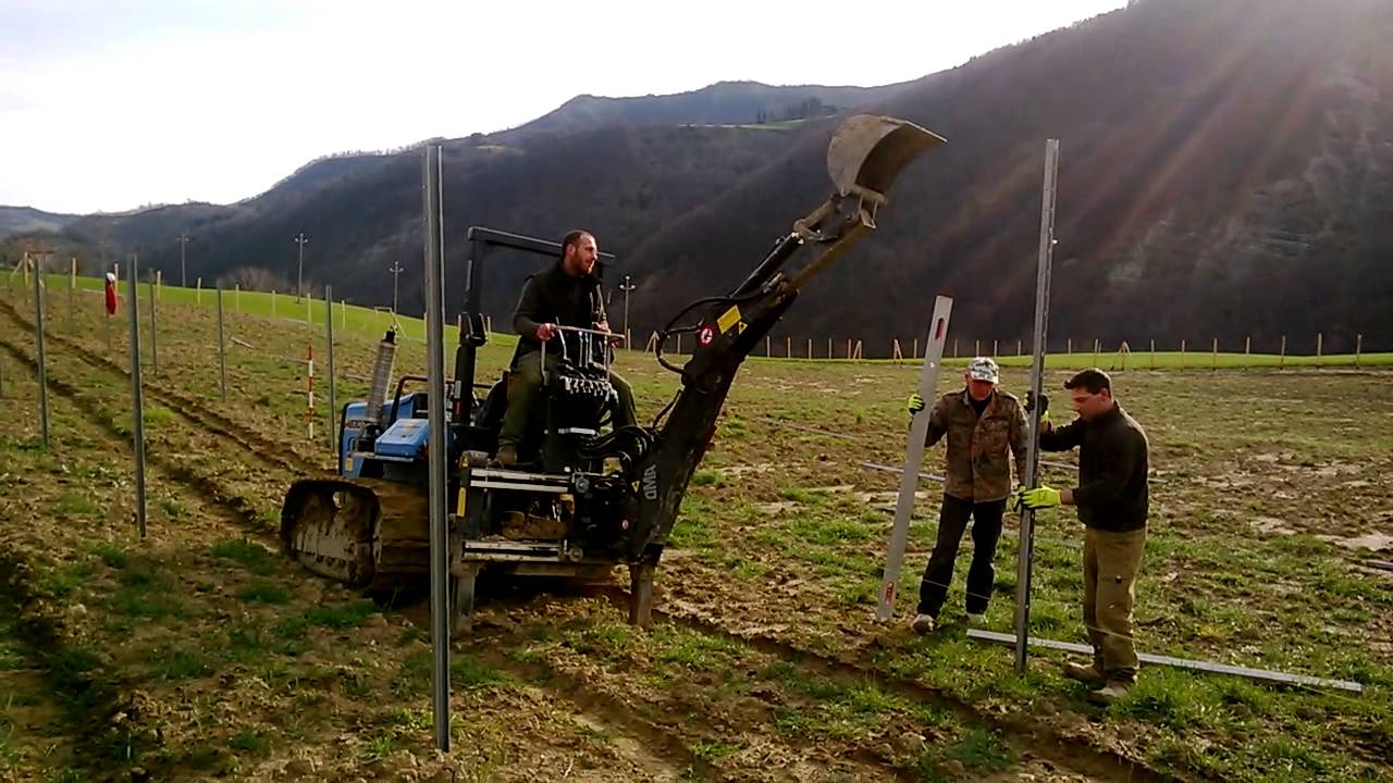 Piantare i pali della vigna