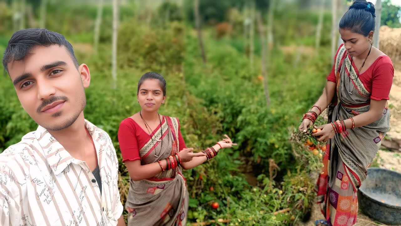 🤔हमर कोठार (बाड़ी) में काय-काय सब्जी लगाए हन? What kind of vegetables do I plant in my barn (garden)