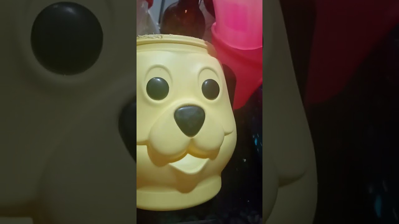 Fofuras que iam pro lixo irão virá arte da nety. @gosto de tudo e todos#