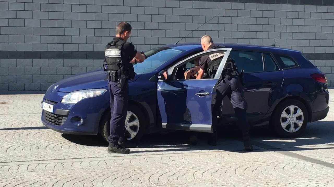Les gendarmes du Beaujolais en action