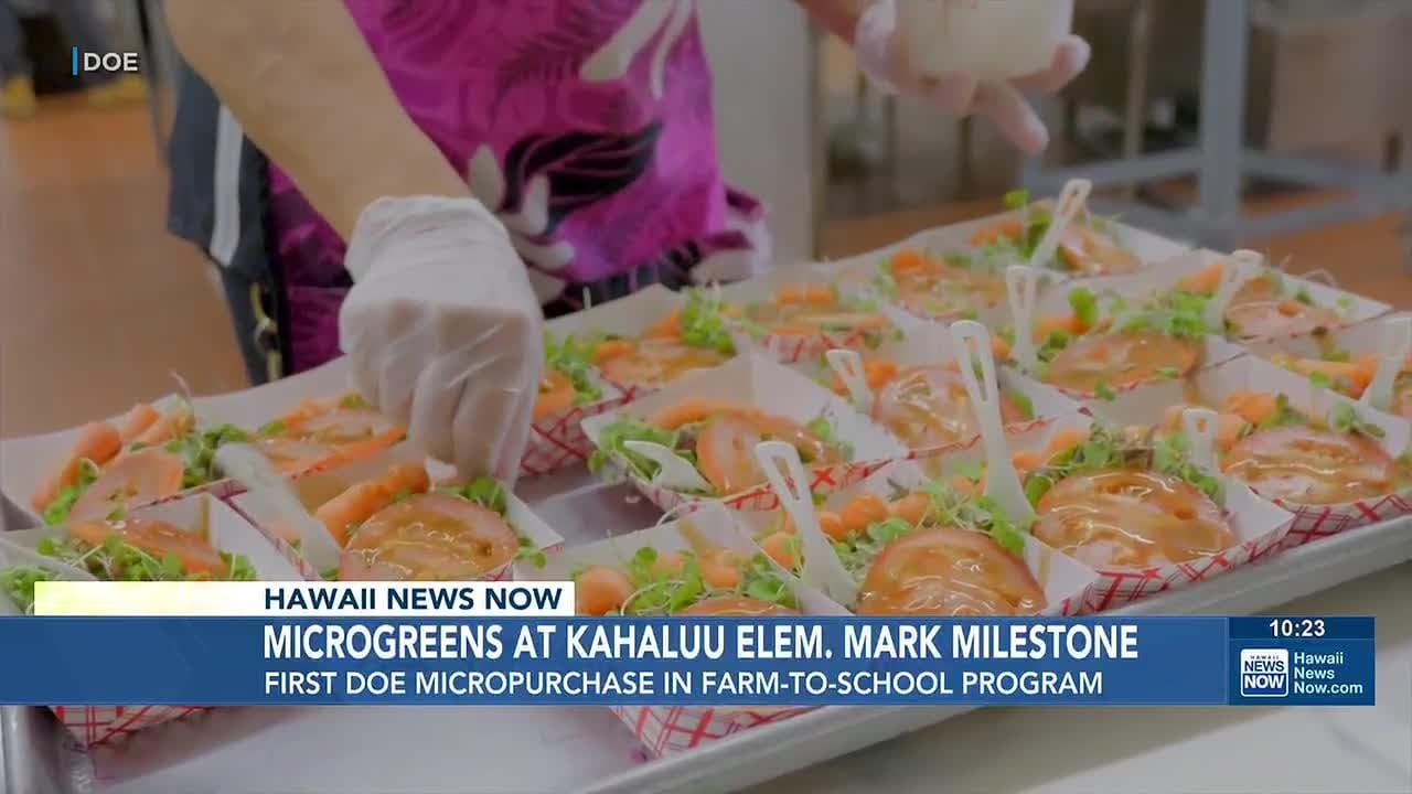 New state initiative helps schools buy local produce directly from farms