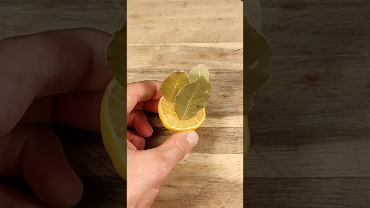 🔥Stick a Bay Leaf in a Lemon! Viral Trick in 2025