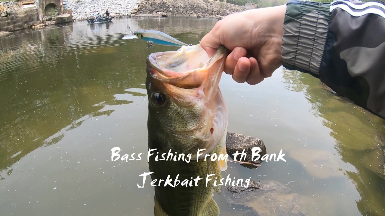 Bass Fishing From the Bank in OCCOQUAN RIVER-Jerkbait Fishing
