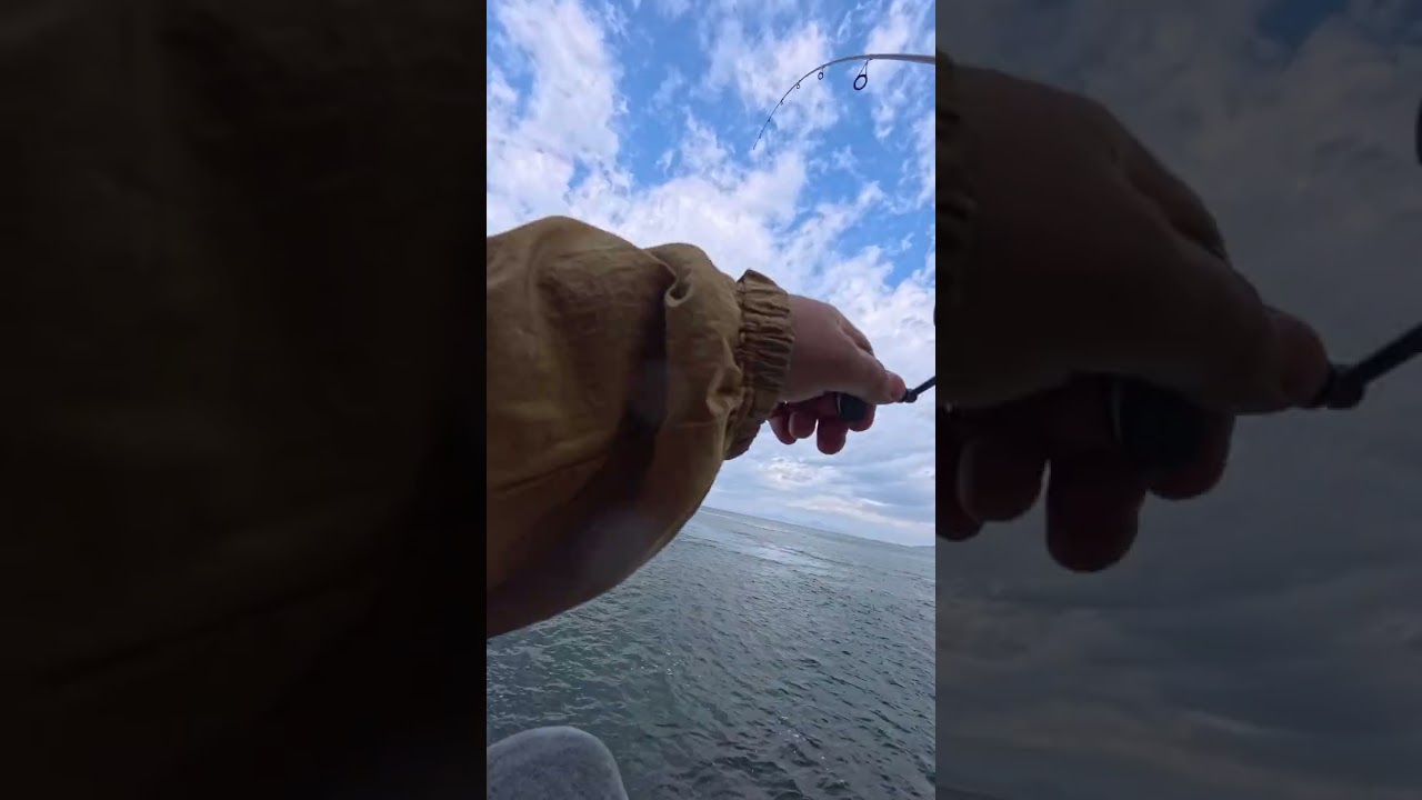 🌊🐶 Tranquility Unleashed: Fishing with a Furry Friend ⛵✨