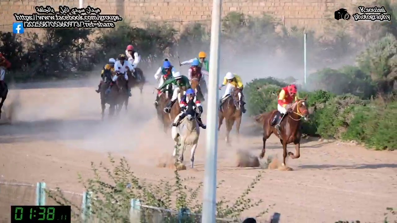 سباق الخيول العربية الأصيلة ميدان سيدي نايل بالجلفة ليوم : 14.11.2022 🐴🐴