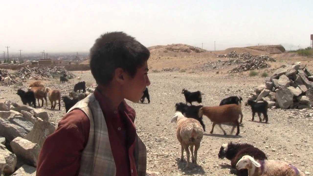 RIDM 2012 : FAR FROM AFGHANISTAN de John Gianvito, Jon Jost, Minda Martin, Travis Wilk...