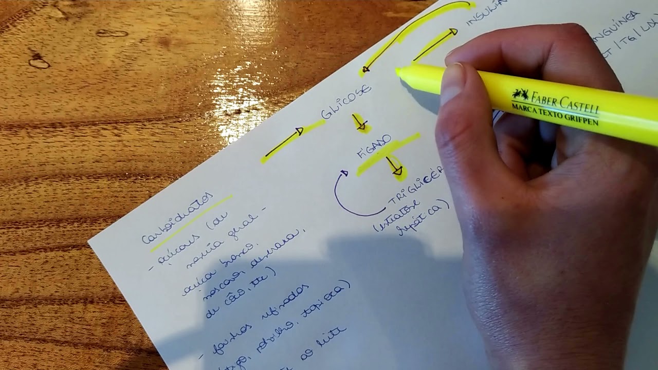 COMO O EXCESSO DE GLICOSE SE TRANSFORMA EM GORDURA