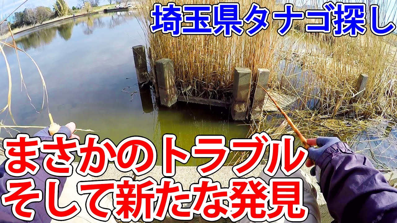 用事の合間にタナゴポイントを開拓してたらまさかのトラブル…。そして新たな発見が【小物釣り】【埼玉県タナゴ探し】