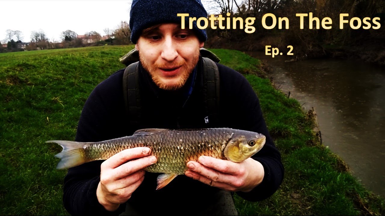 River Foss Fishing - Ep. 2: Trotting on the Foss