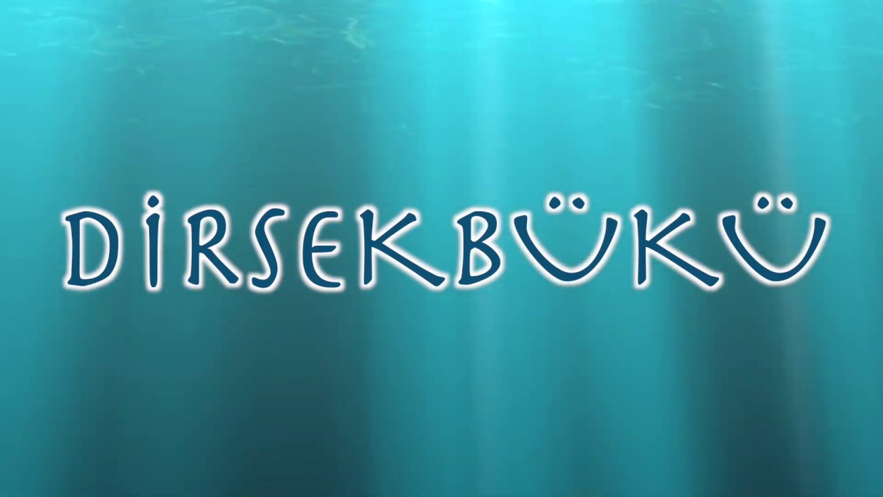 DIRSEK BUKU, sail with us where your dreams come true!
