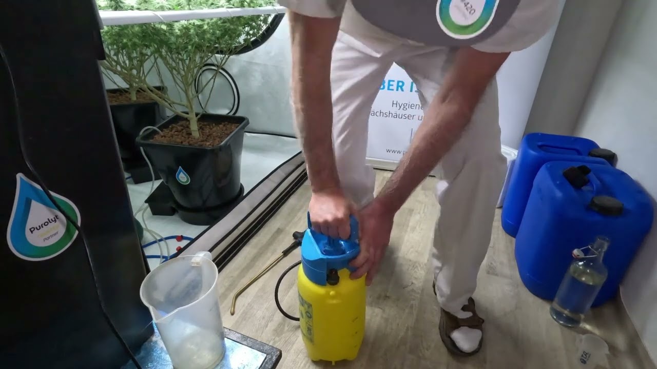 Spr&uuml;hen richtig gemacht Teil 2