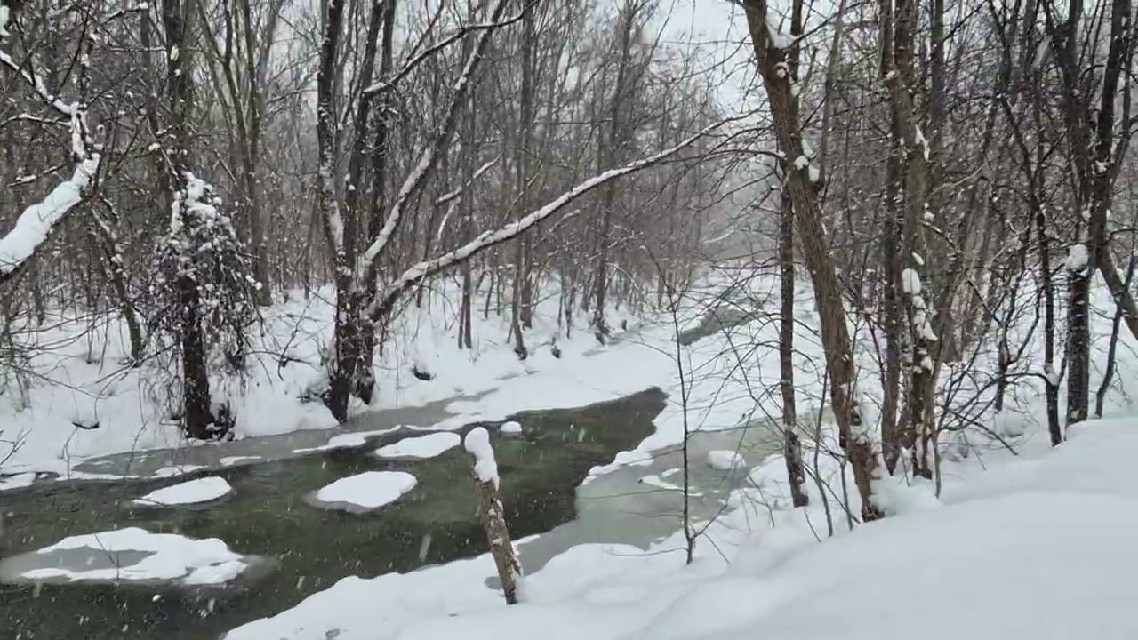 Leslie Park Trail, Toronto, Canada