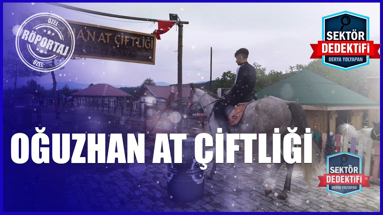 Oğuzhan At Çiftliği: Doğanın ve Ata Sporlarının Buluşma Noktası! 🐎🌿