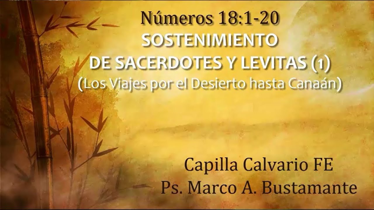 Números 18:1-20 - SOSTENIMIENTO DE SACERDOTES Y LEVITAS (1)