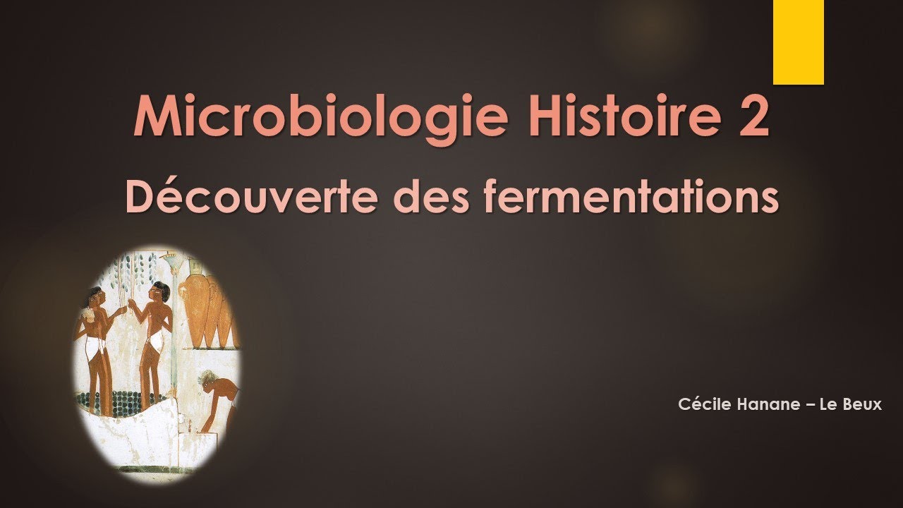 Microbiologie Histoire 2 DECOUVERTE DES FERMENTATIONS