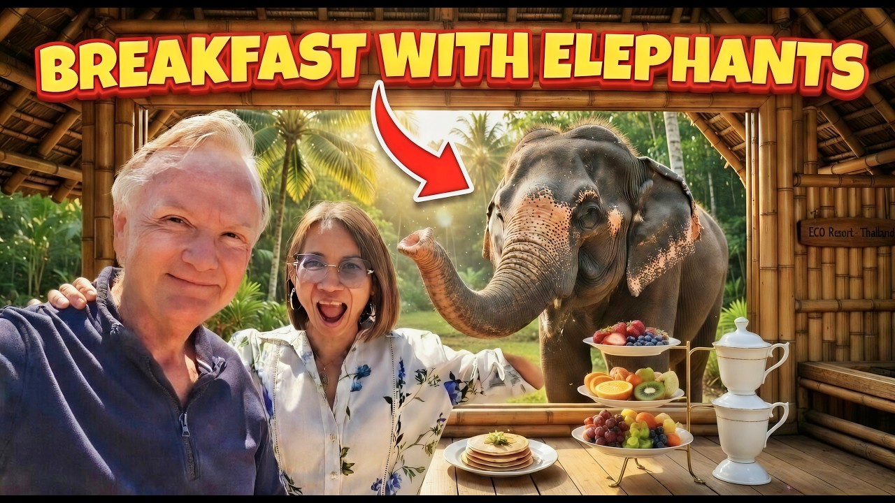 We Stay at the Famous Elephant Sanctuary Resort in the Jungle!