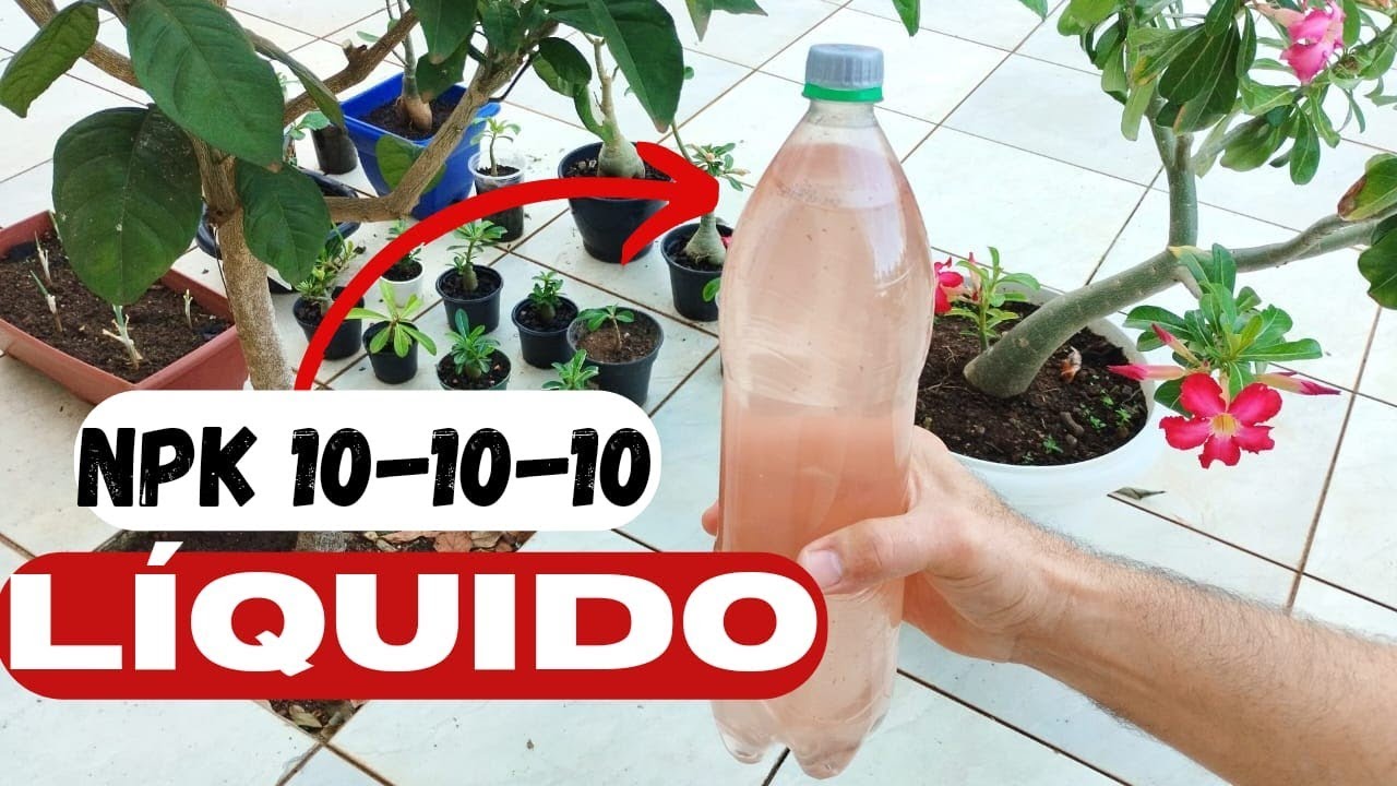 FACIL DE  FAZER  o adubo NPK 10-10-10 de forma líquida