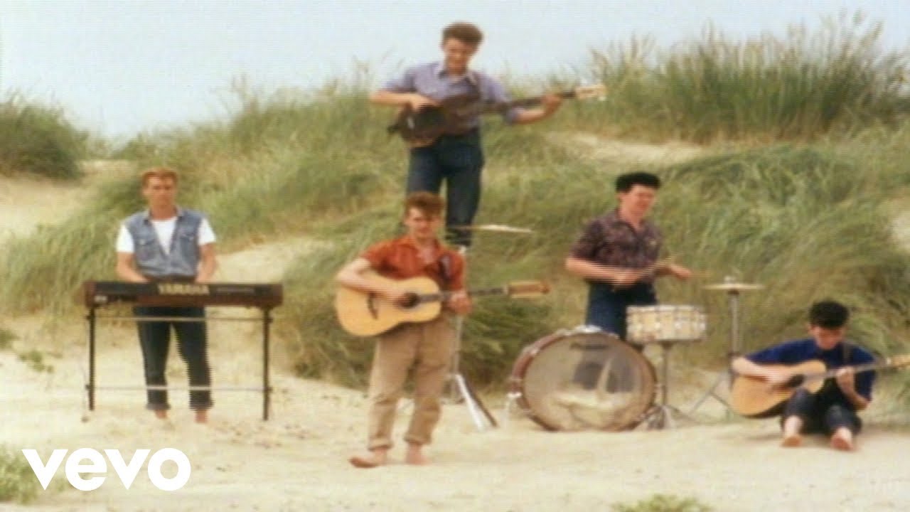 Friends Again - Sunkissed