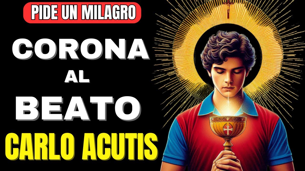 CARLO ACUTIS ¡AYÚDANOS!