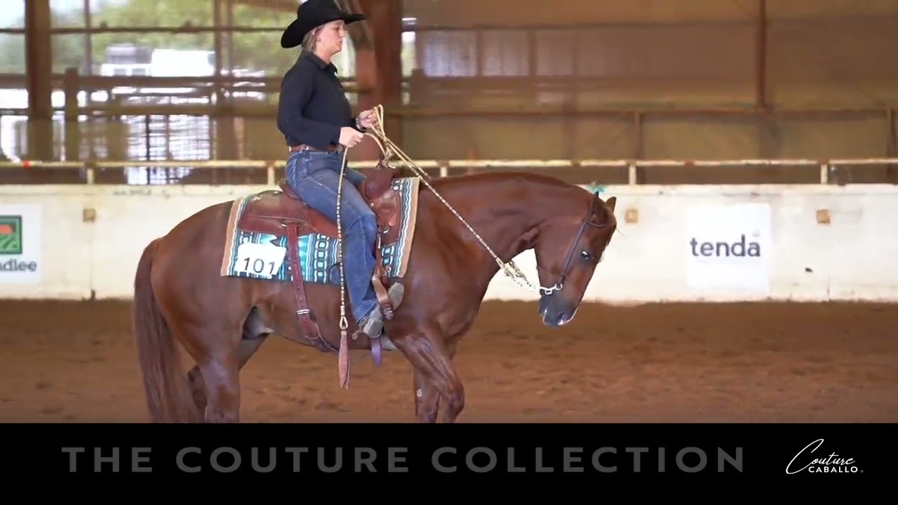 Gunner placing in the Ranch Riding, Ranch Pleasure, & Ranch Rail